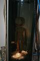20081030 Roswell 010